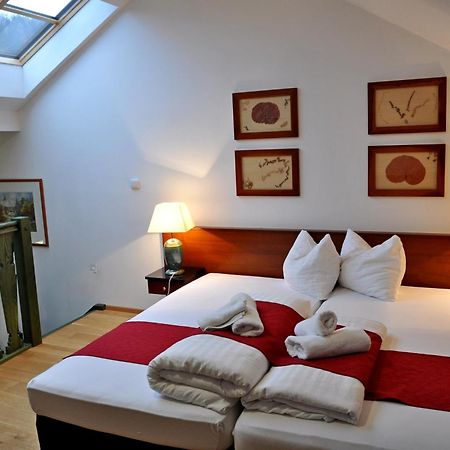 Hotel U Bileho Kone Локет Стая снимка